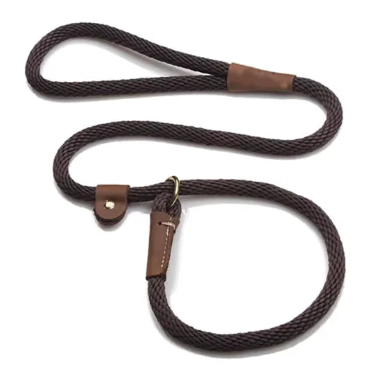 Adjustable Slip Lead Dog Leash – Comfort Grip, 5ft, Small to Large Dogs