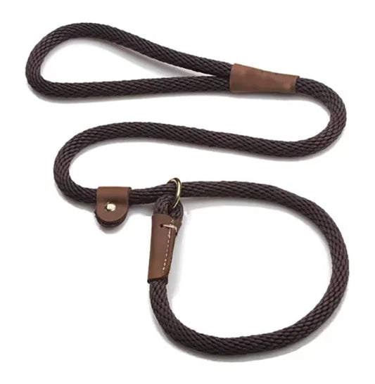 Adjustable Slip Lead Dog Leash – Comfort Grip, 5ft, Small to Large Dogs