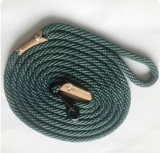 Adjustable Slip Lead Dog Leash – Comfort Grip, 5ft, Small to Large Dogs
